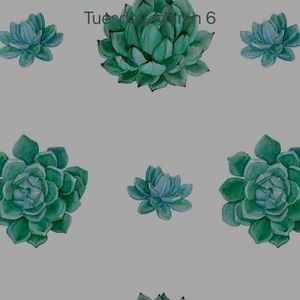 Meet your Posher, Niko